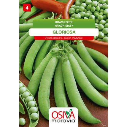 Hrách zahradní Gloriosa - semena 30 g
