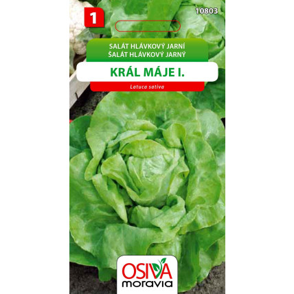 Salát hlávkový Král Máje - semena 0,5 g