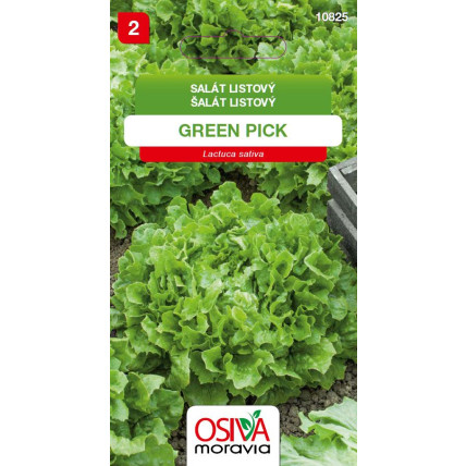 Salát listový Green Pick - semena 0,3 g