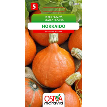 Tykev dýně Hokkaido - 10 semen