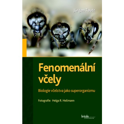 Fenomenální včely - Jürgen Tautz