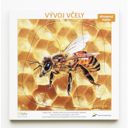 Pětivrstvé výukové puzzle Vývoj včely