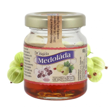 Medík mini s ovocem Angrešt 60 g