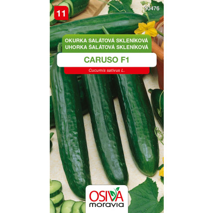 Okurka salátová skleníková Caruso F1 - 10 semen