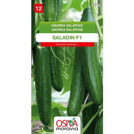 Okurka salátová Saladin F1 - 10 semen