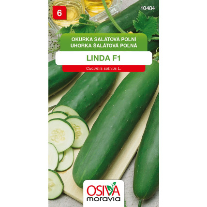 Okurka salátová Linda F1 - semena 1 g