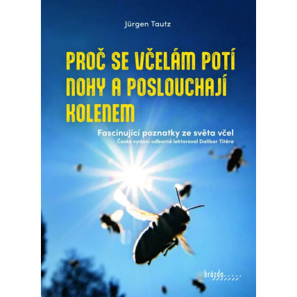 Proč se včelám potí nohy a poslouchají kolenem - Jürgen Tautz