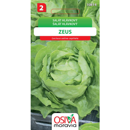 Salát hlávkový Zeus - semena 0,3 g
