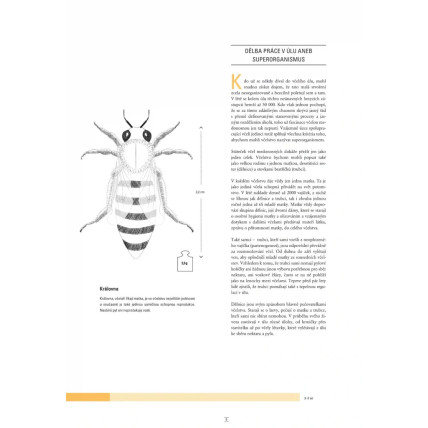 Včelařské potřeby Ještěd