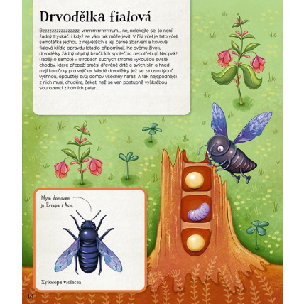 Včelařské potřeby Ještěd