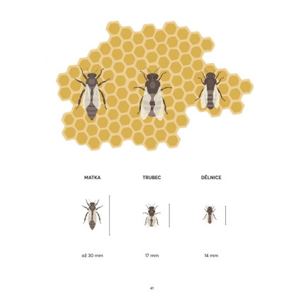 Včelařské potřeby Ještěd