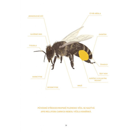 Včelařské potřeby Ještěd